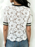 Women's Sheer Floral Lace Striped Trim Top